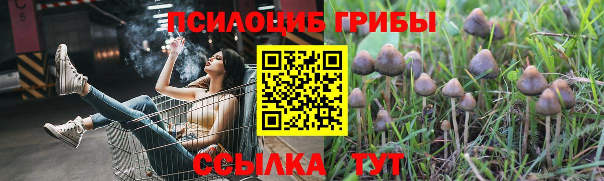 Галлюциногенные грибы Psilocybine cubensis  Вход с VPN  Луховицы 