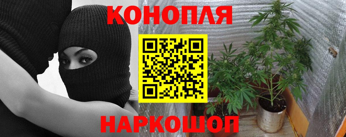 Марихуана планчик Луховицы